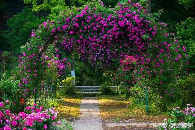 南京是一座很美的城市,南京最让人震动的城市