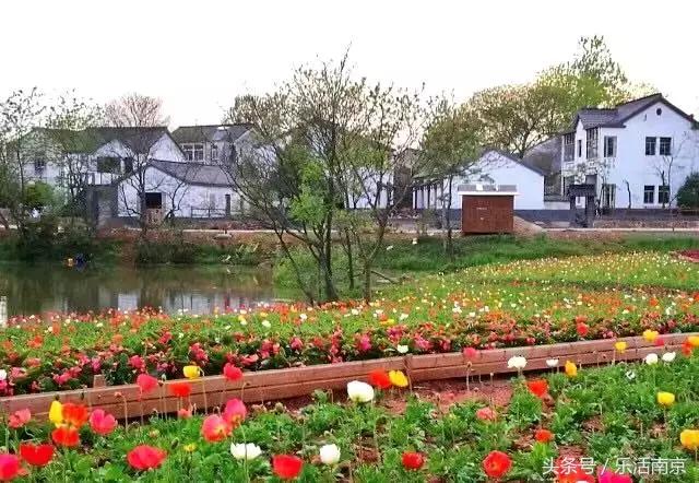 南京是一座很美的城市,南京最让人震动的城市