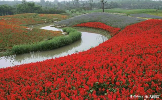 南京是一座很美的城市,南京最让人震动的城市