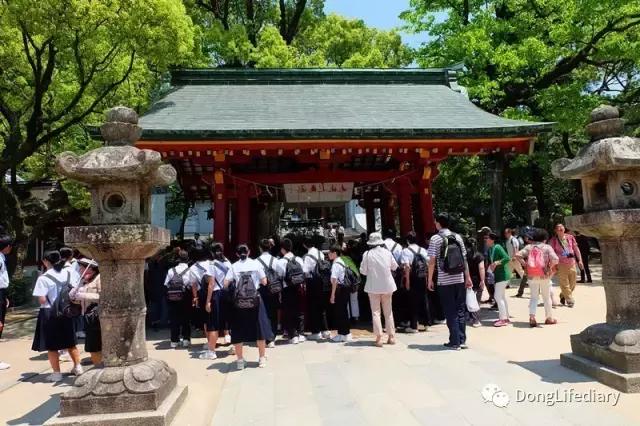 去日本北九州好吗,北九州看樱花