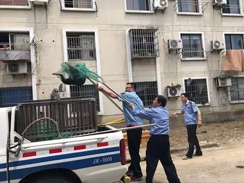 如何正确保护狗不被抓,抓狗的好方法