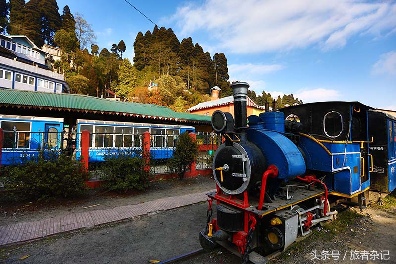 印度大吉岭红茶有几个品牌,印度大吉岭红茶品种