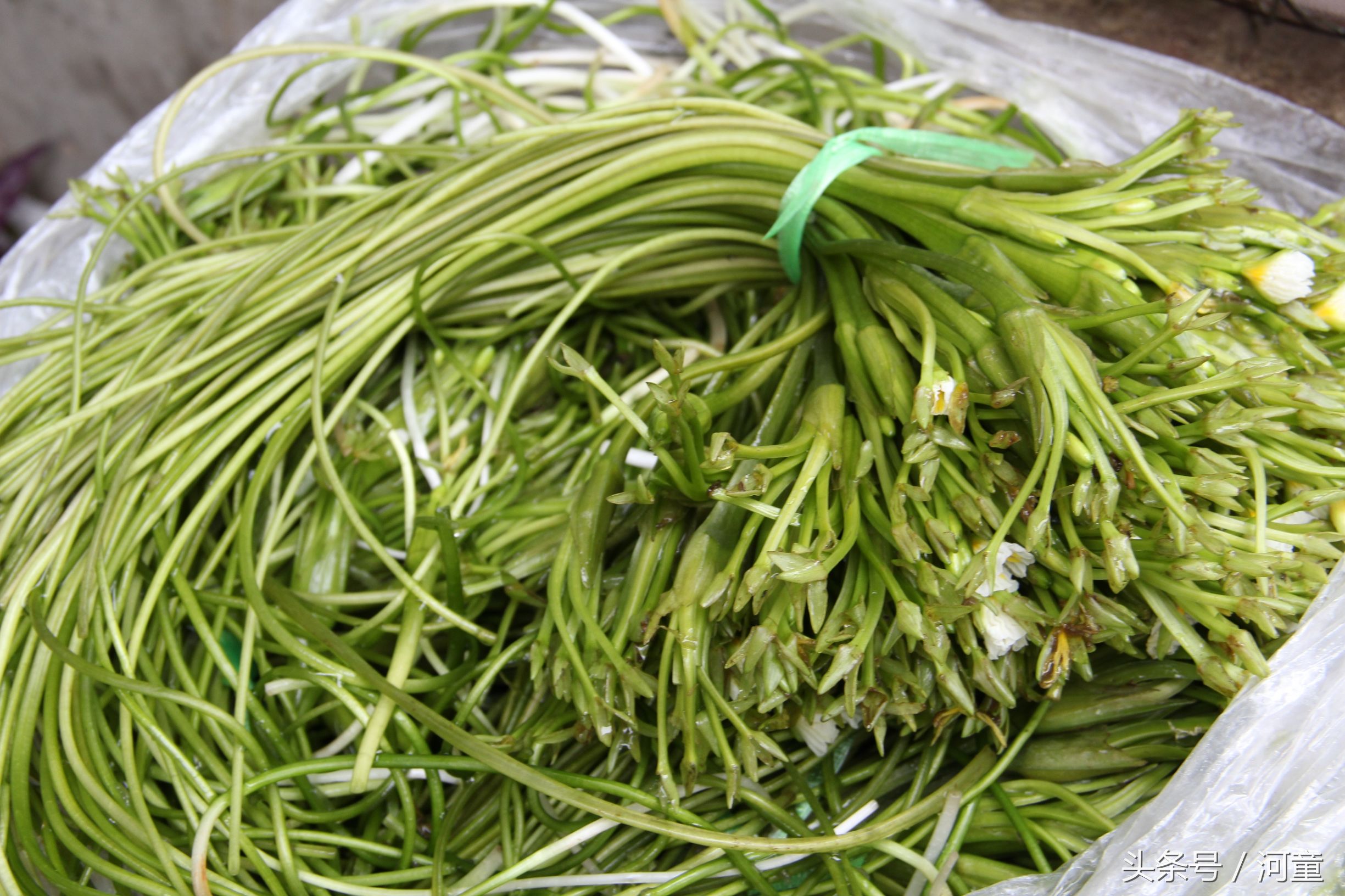 喜洲镇哪里好玩,喜洲哪个地方比较好玩