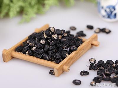 花青素之王黑枸杞图片,黑枸杞是花青素之王
