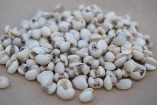 娜丽丝爽肤水缩毛孔,娜丽丝毛孔收敛水