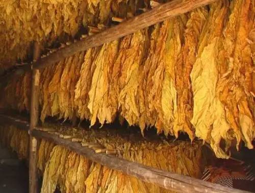 为保春运群众平安成都铁警在行动,三亚铁警为春运安全保驾护航