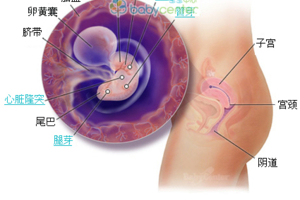 巧记分娩三大产程,简述分娩三个产程