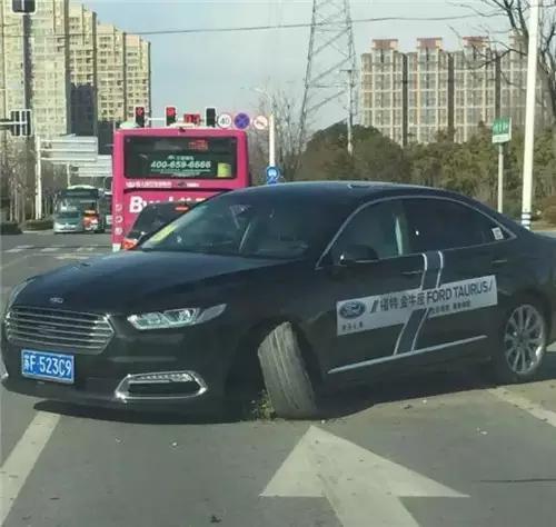 大王叫我来巡山，抓只“金牛”炖锅汤