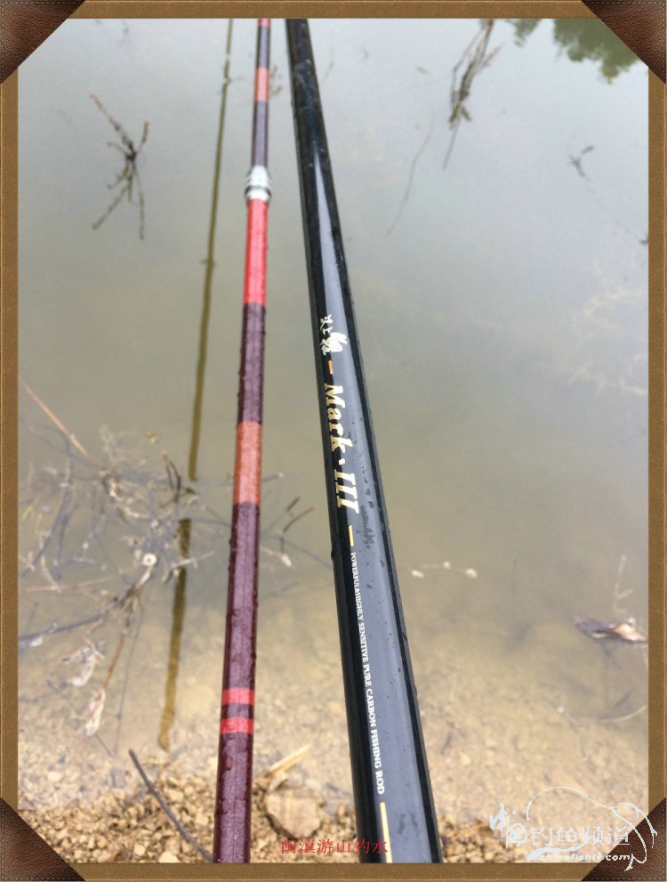 冷雨咬钩,冷雨钓鱼钓多深
