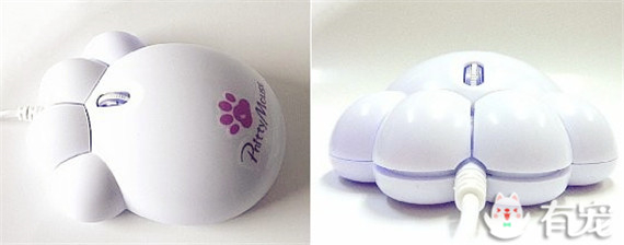 不能专心工作了～猫奴必败的逼真猫爪鼠标来啦！