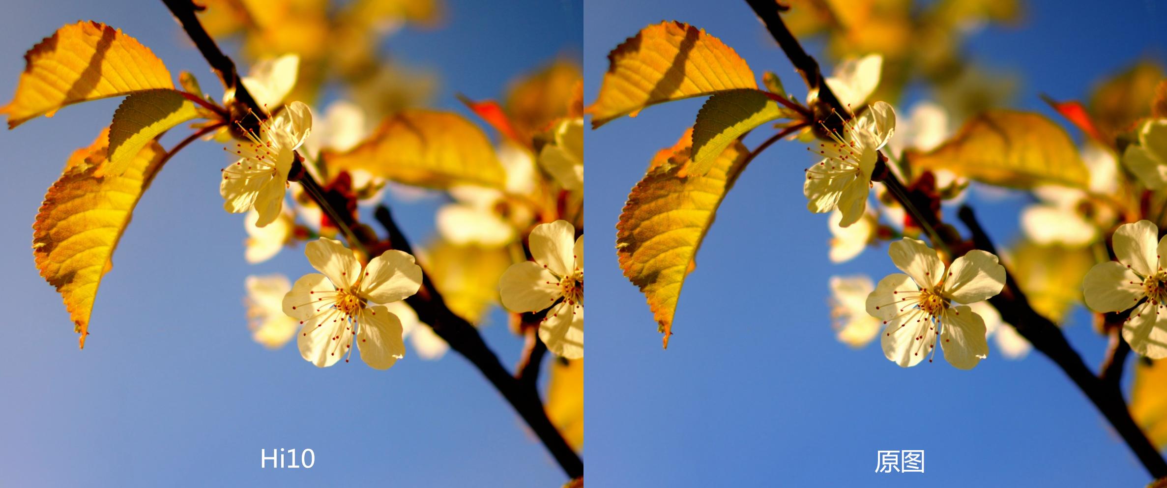 椹颁负hi10pro,椹颁负hi10骞虫澘鎵╁