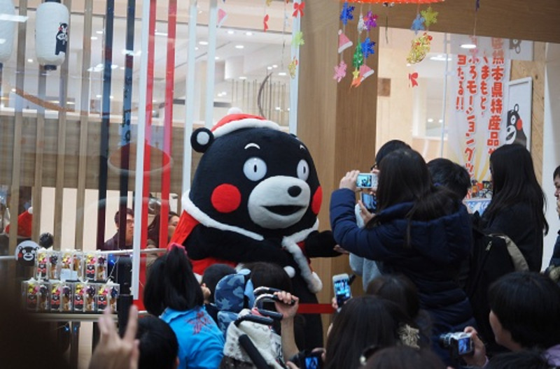 熊本熊熊出没,熊本熊77期