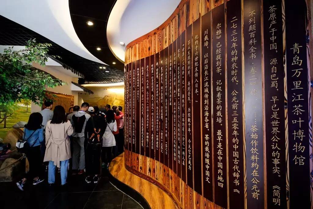 青岛7月旅游优惠,519中国旅游日青岛分会场