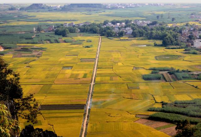 厉害了！扶绥县众多村屯名居然如此有内涵！