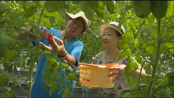 咱六师的“礼品瓜”走俏市场