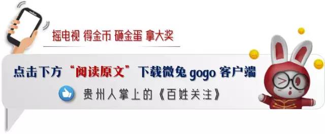 贵州有哪些吉他工厂,贵州有几个生产吉他的地方