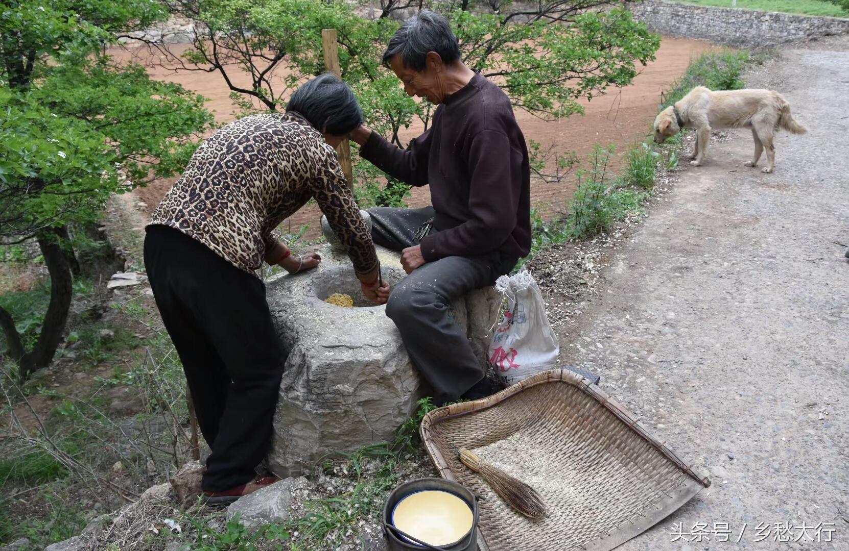 黍米面的做法大全简单又好吃,甘肃黄米面条的家常做法