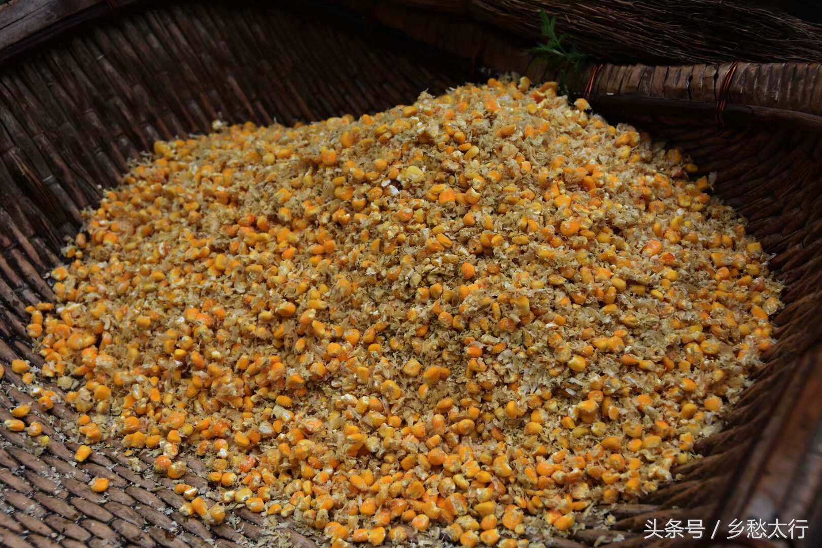 黍米面的做法大全简单又好吃,甘肃黄米面条的家常做法