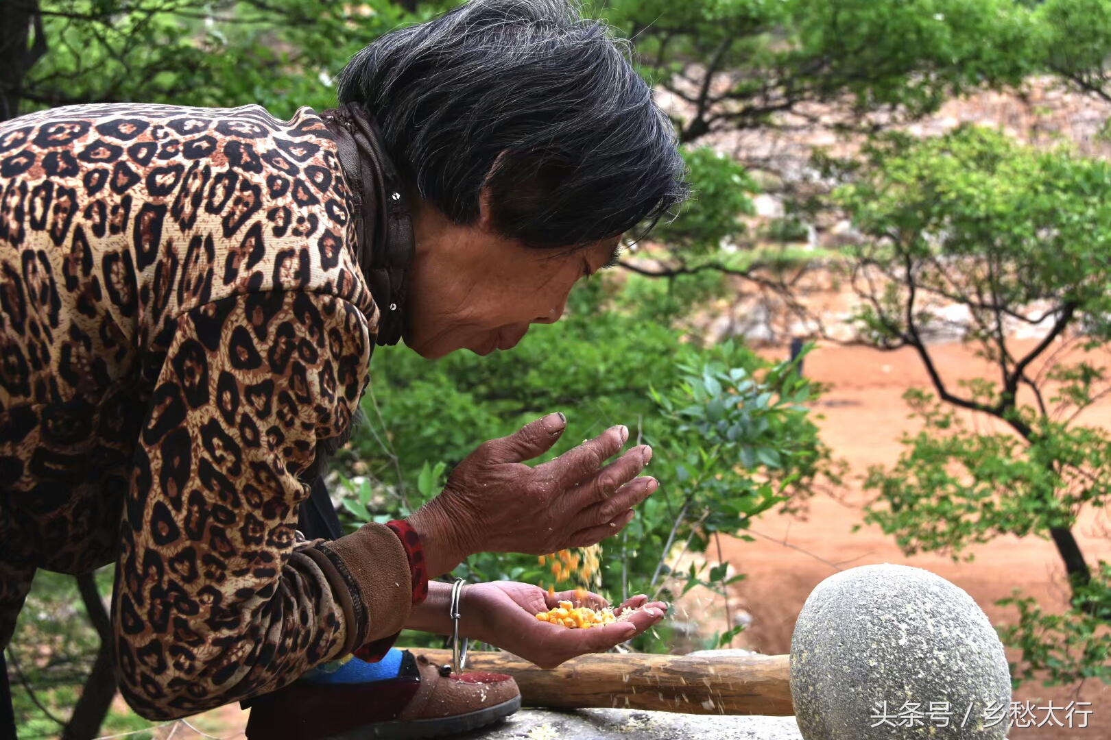 黍米面的做法大全简单又好吃,甘肃黄米面条的家常做法