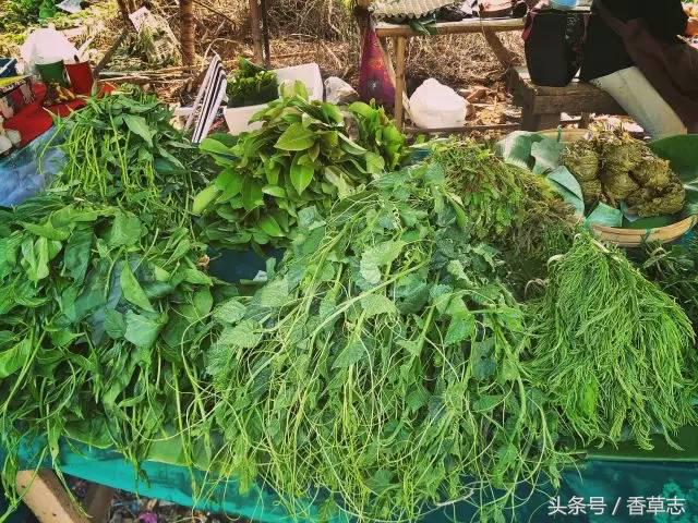 泰国菜市场有什么香料 (泰国菜市场买什么香料)