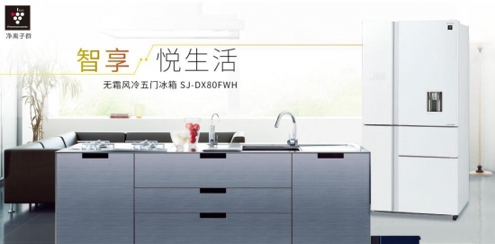 悦享科技最新视频,夏普双开门冰箱评测