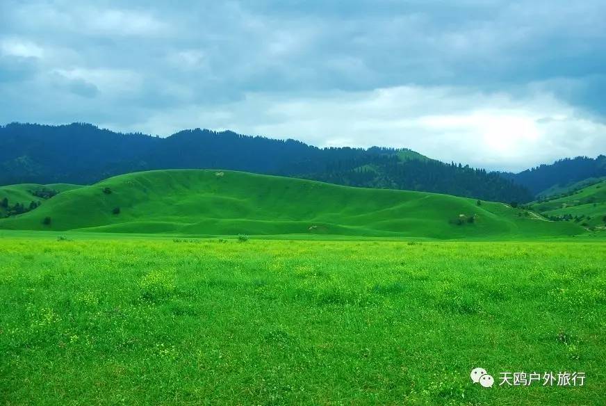 几月份去新疆飞机票最便宜,6月份哪里进疆机票优惠