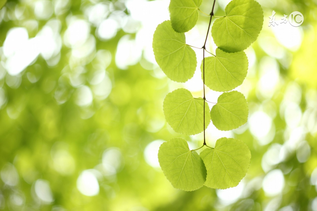 为什么森田疗法让人痛苦,森田疗法可以自己阅读吗