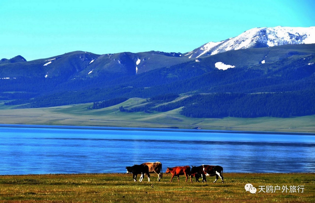 几月份去新疆飞机票最便宜,6月份哪里进疆机票优惠