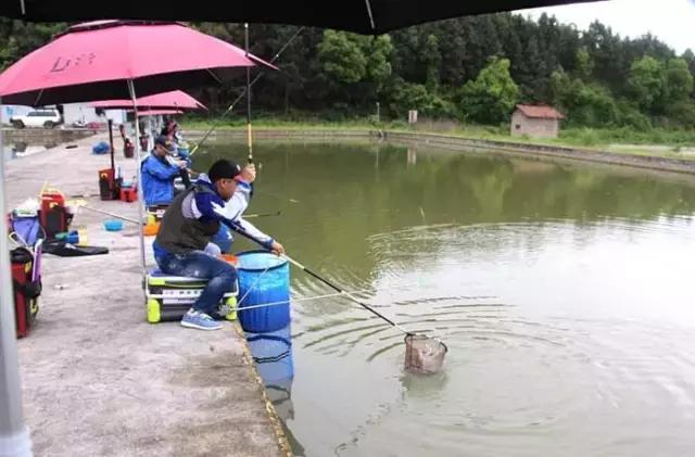 行营慈利X11战队，掐鱼比赛火爆上演