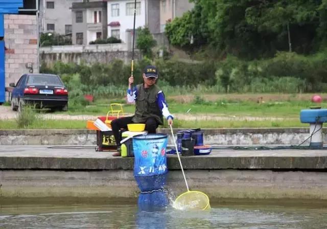 行营慈利X11战队，掐鱼比赛火爆上演