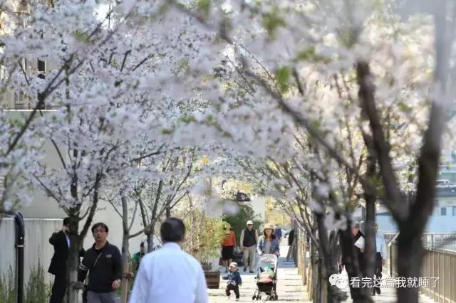 700元一晚住大雄家！揭秘大阪哆啦A梦民宿