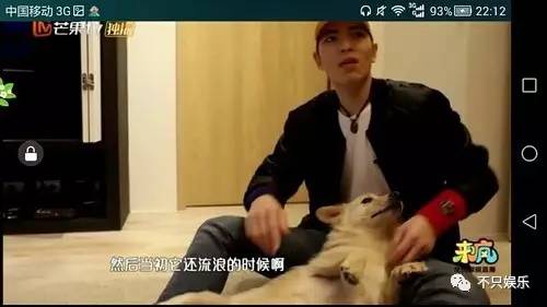 萧敬腾领养狗狗,萧敬腾领养孩子