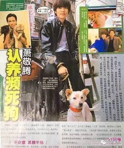 萧敬腾领养狗狗,萧敬腾领养孩子