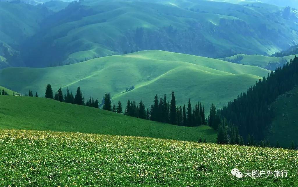 几月份去新疆飞机票最便宜,6月份哪里进疆机票优惠