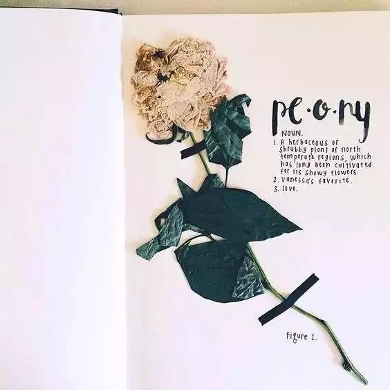 手帐小白入坑必备的东西,手帐的坑