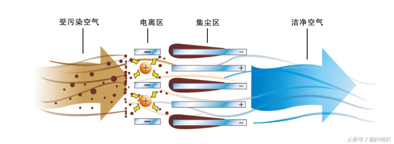 家里装修的味道怎么去除,除甲醛净化器怎么有臭味
