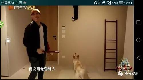 萧敬腾领养狗狗,萧敬腾领养孩子