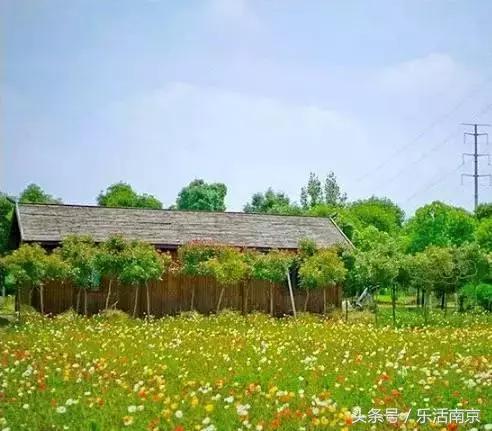 南京是一座很美的城市,南京最让人震动的城市