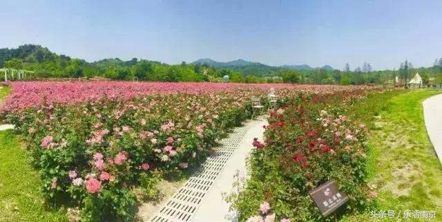 南京是一座很美的城市,南京最让人震动的城市