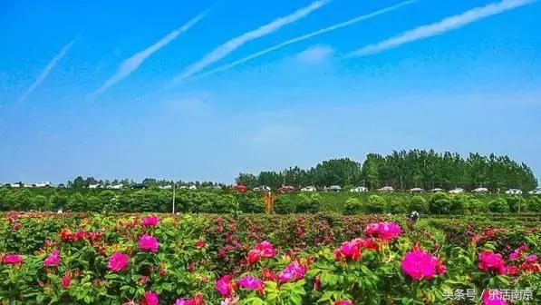 南京是一座很美的城市,南京最让人震动的城市