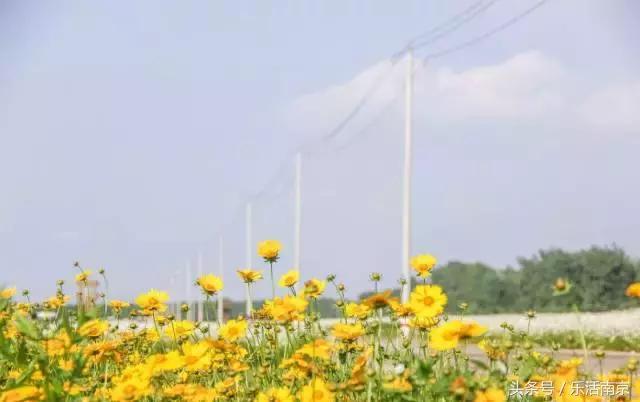 南京是一座很美的城市,南京最让人震动的城市