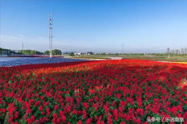 南京是一座很美的城市,南京最让人震动的城市