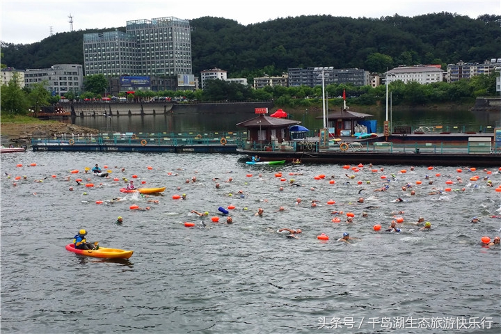 千岛湖人真有福！免费享受573km²的天然绿色游泳场（原创）