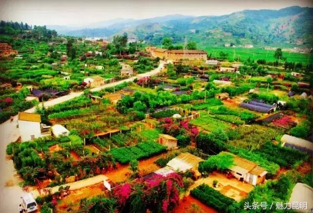 对不起我要去西安了,再见宜良