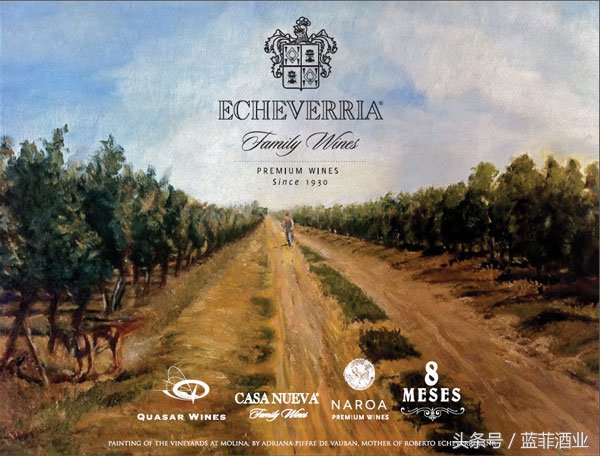 哪款智利红酒好喝性价比高,智利红酒最好的是哪种