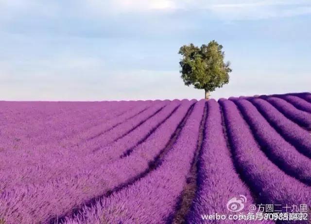 南京是一座很美的城市,南京最让人震动的城市