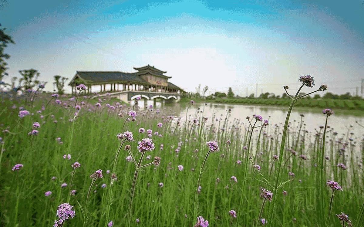 南京是一座很美的城市,南京最让人震动的城市