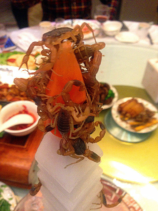 生吃活蝎方法,生吞活蛇会怎么样