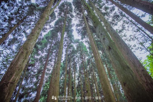 云在青天水在瓶深度讲解,云在青天水在瓶全文