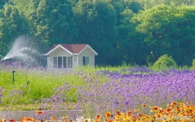 南京是一座很美的城市,南京最让人震动的城市